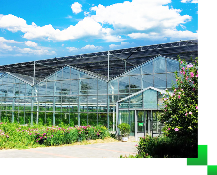 壽光旭峰農業設施有限公司